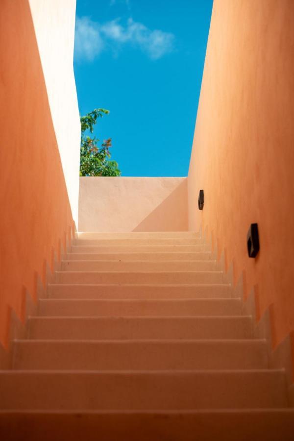 Shes Moody 3 Bed Penthouse With Yard Pools Rooftop Aircon 15 Minute Drive To The * Tulum