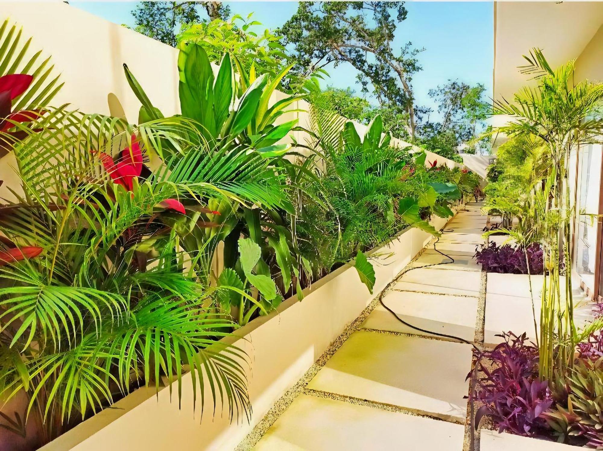 Lila E03 Blueluxuryk Tulum