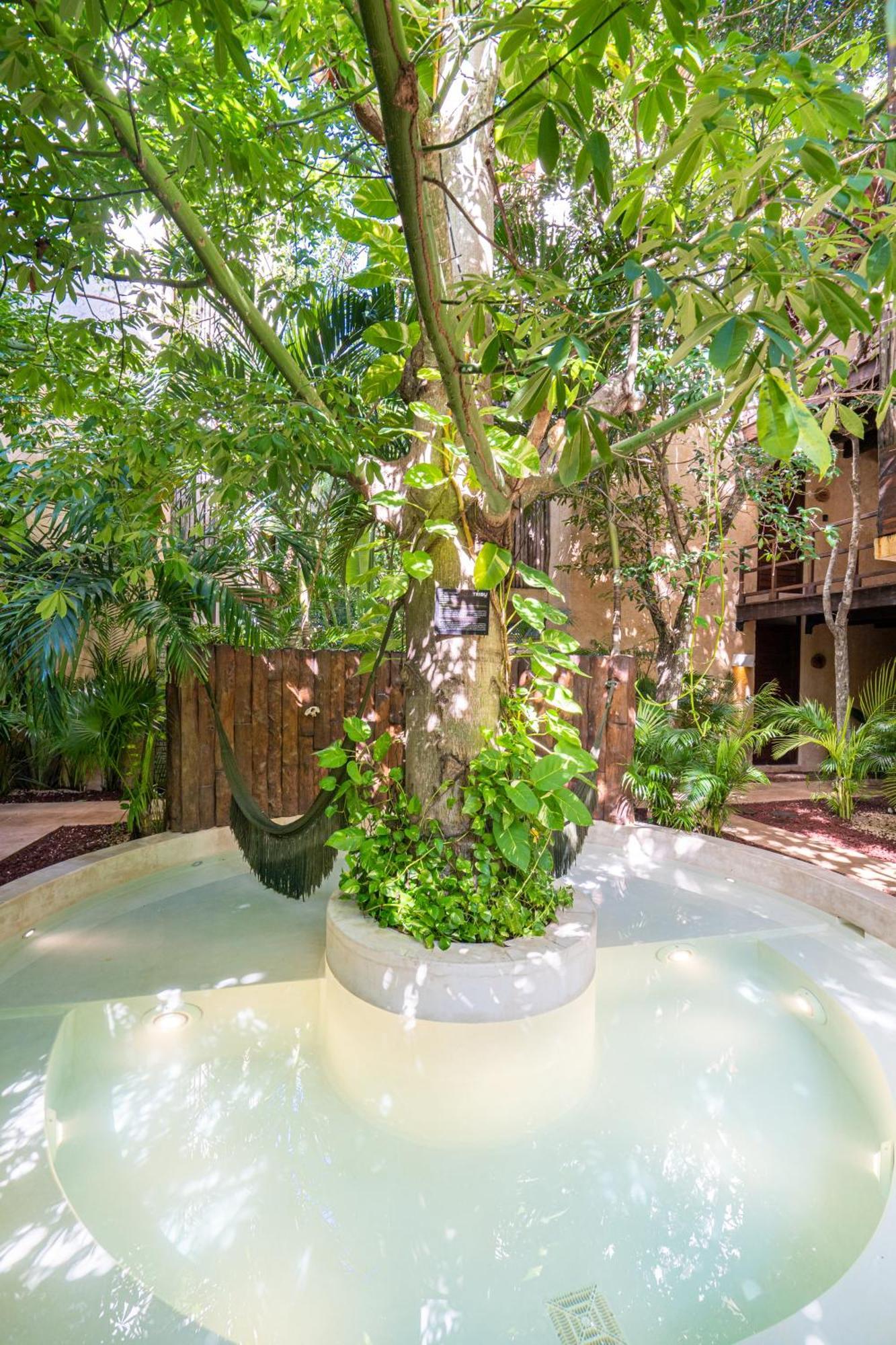 Apartamento Con Jardin En Aldea Zama -luum- By Casago