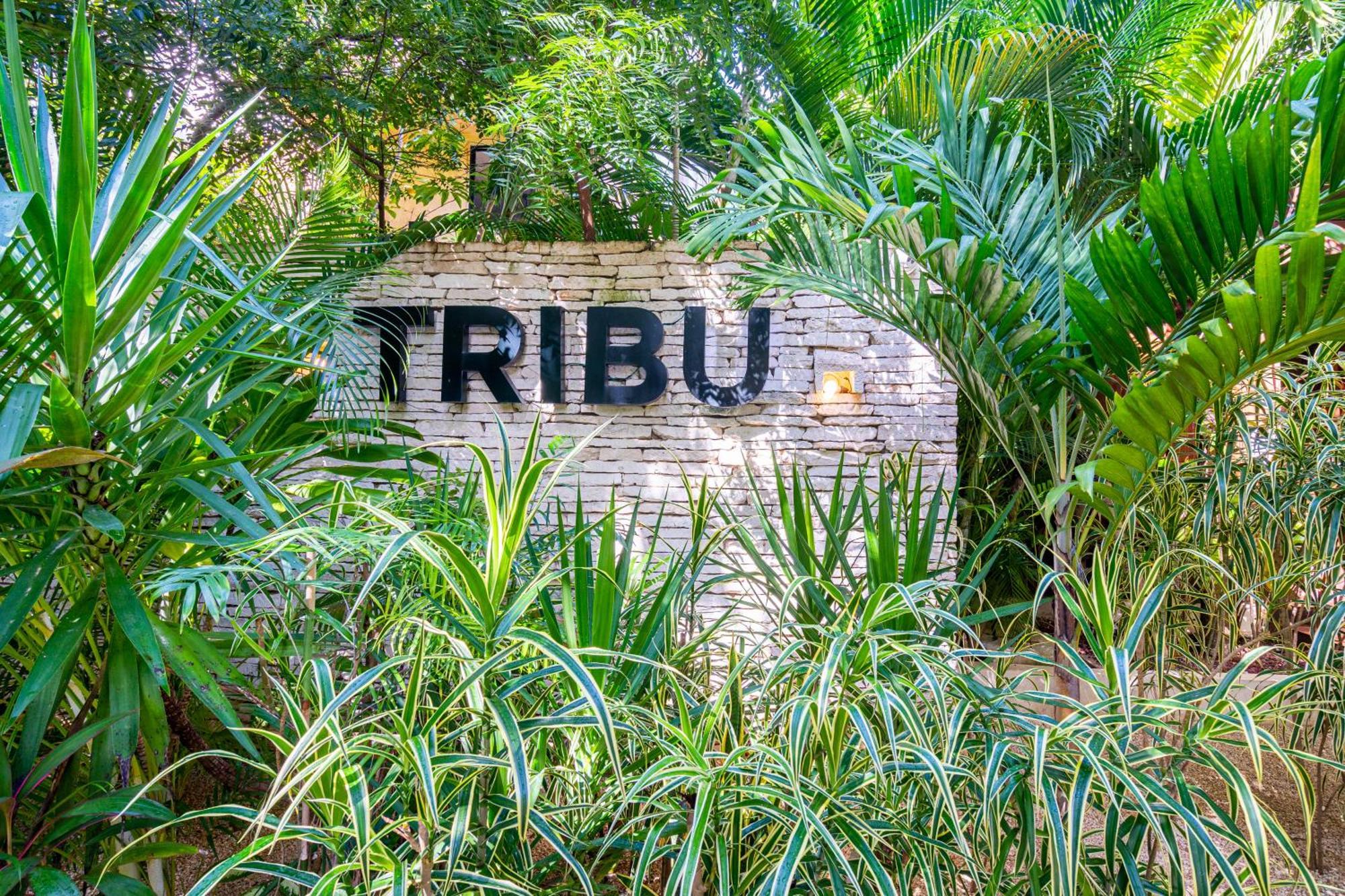 Con Jardin En Aldea Zama -luum- By Casago Apartamento Tulum