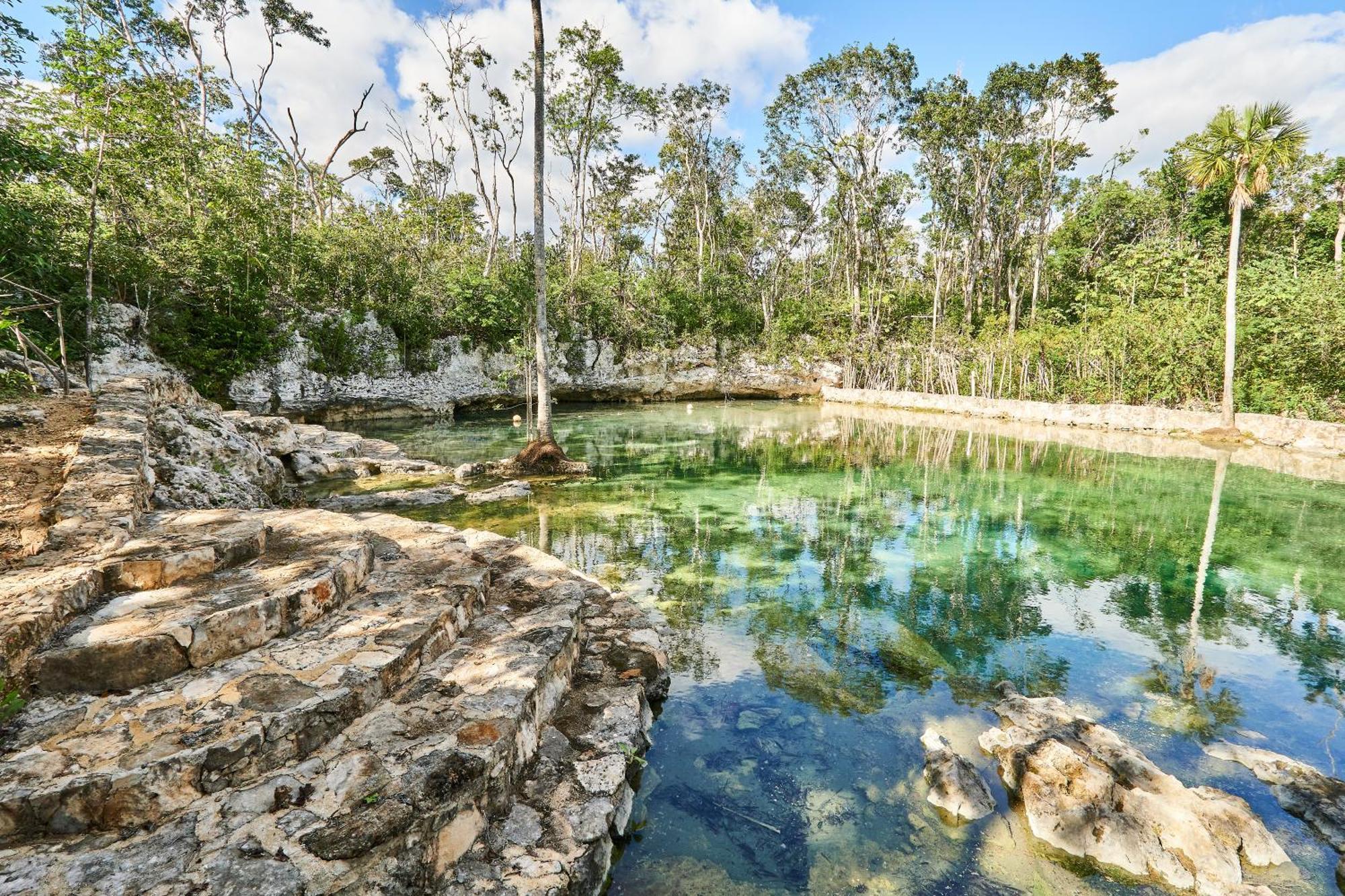 Tortuga Lux 4 Bdr Big Garden*pool *cenote Tulum