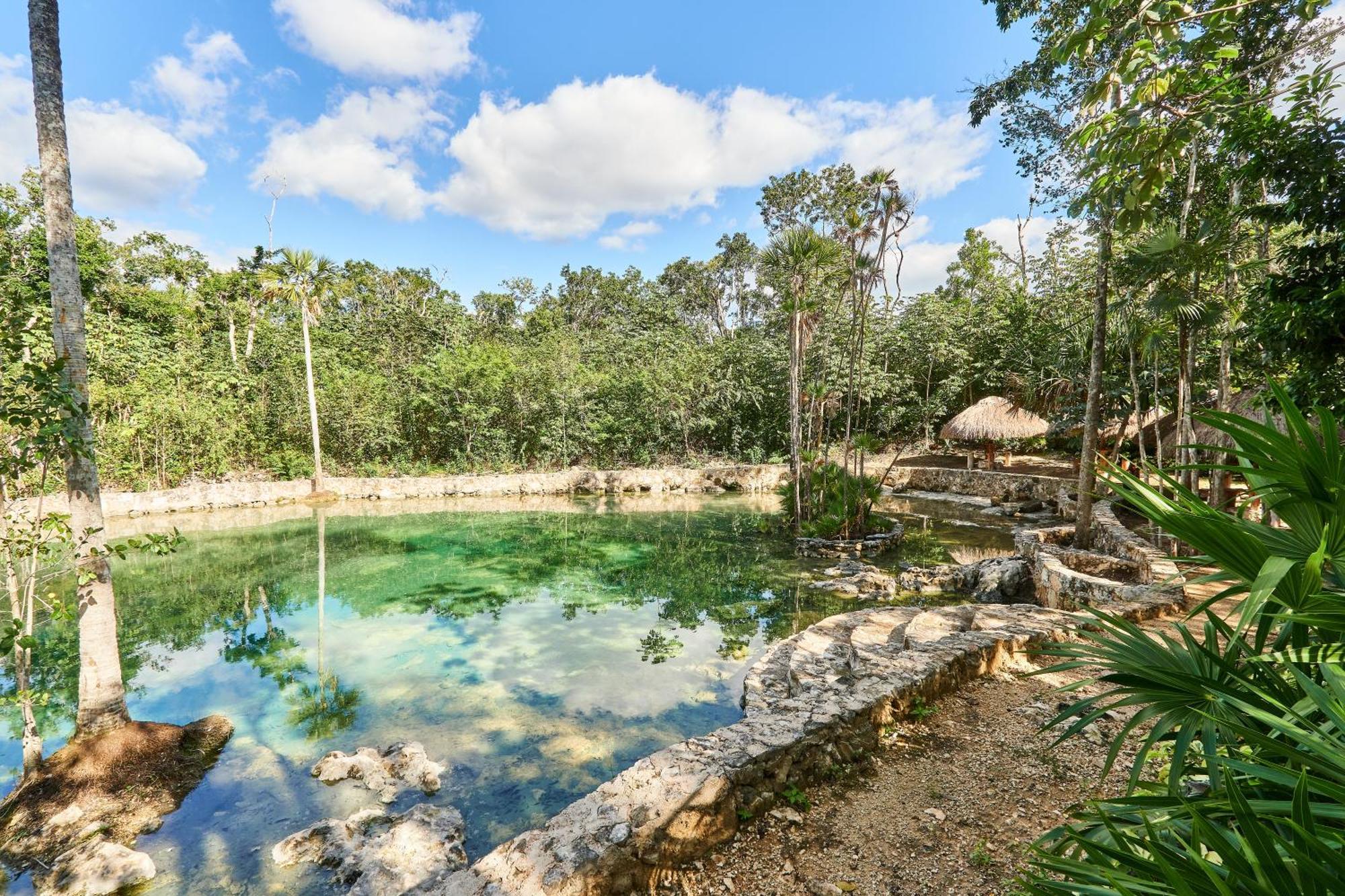 Villa Tortuga Lux 4 Bdr Big Garden*pool *cenote Tulum
