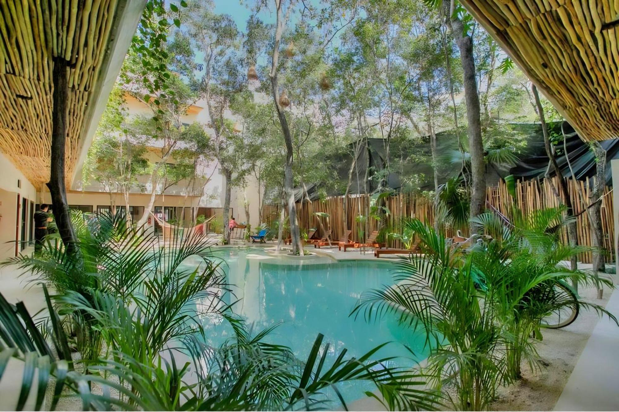 Etnica Residences Jungle Paradise Apartamento *