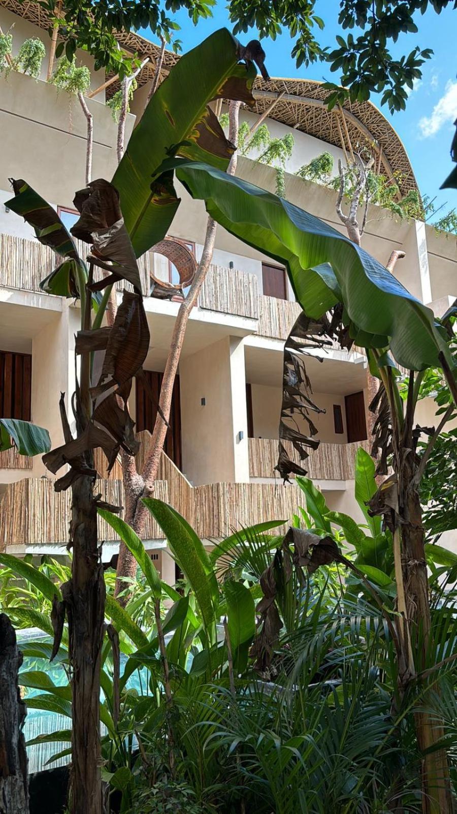Apartahotel Condohotel Tsonot, En Luum Zama