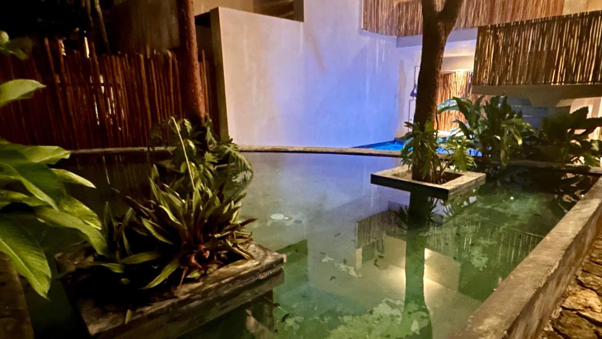 Apartahotel Condohotel Tsonot, En Luum Zama
