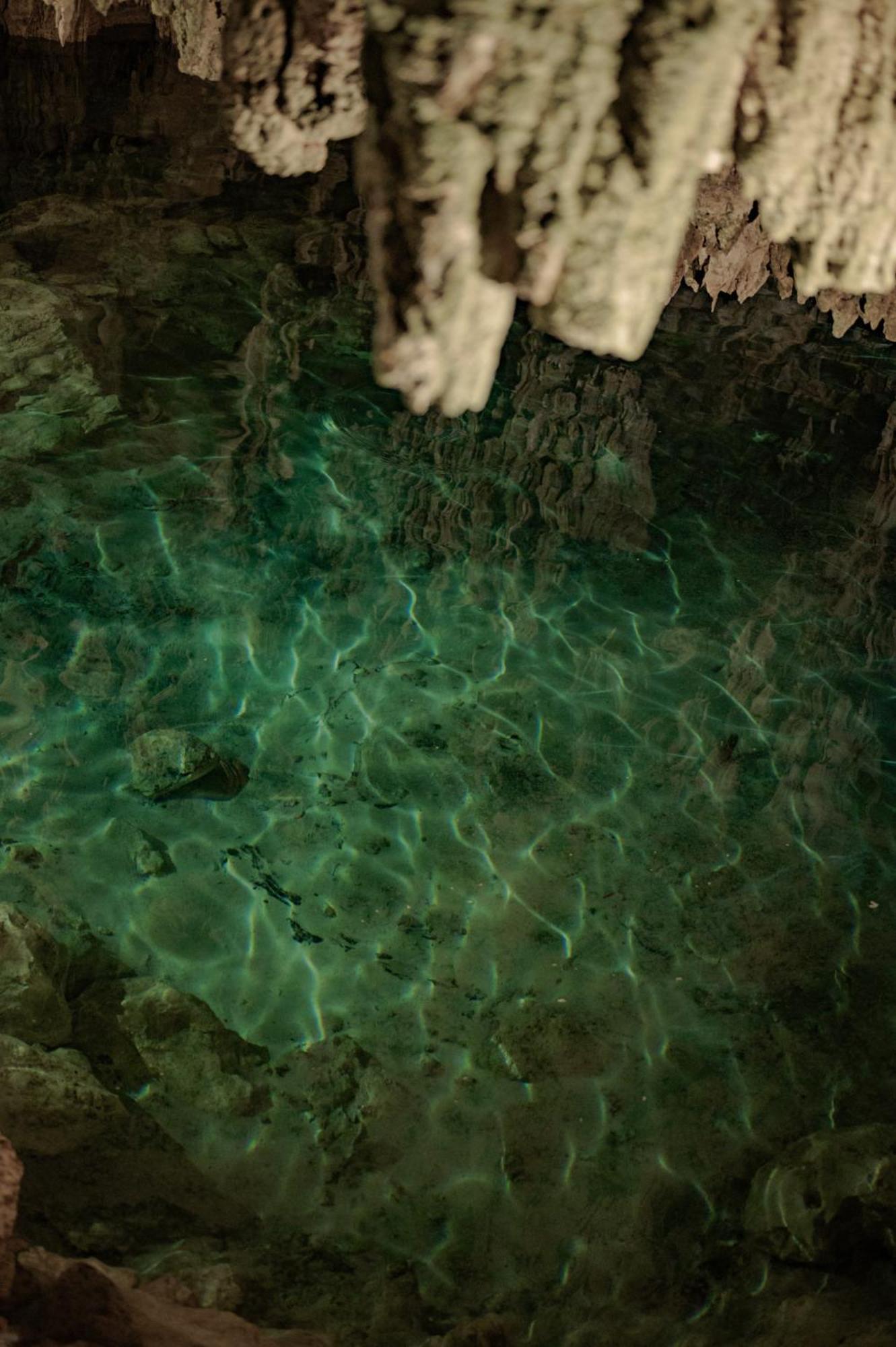 Villa Naum - Secluded With Private Cenote Tulum