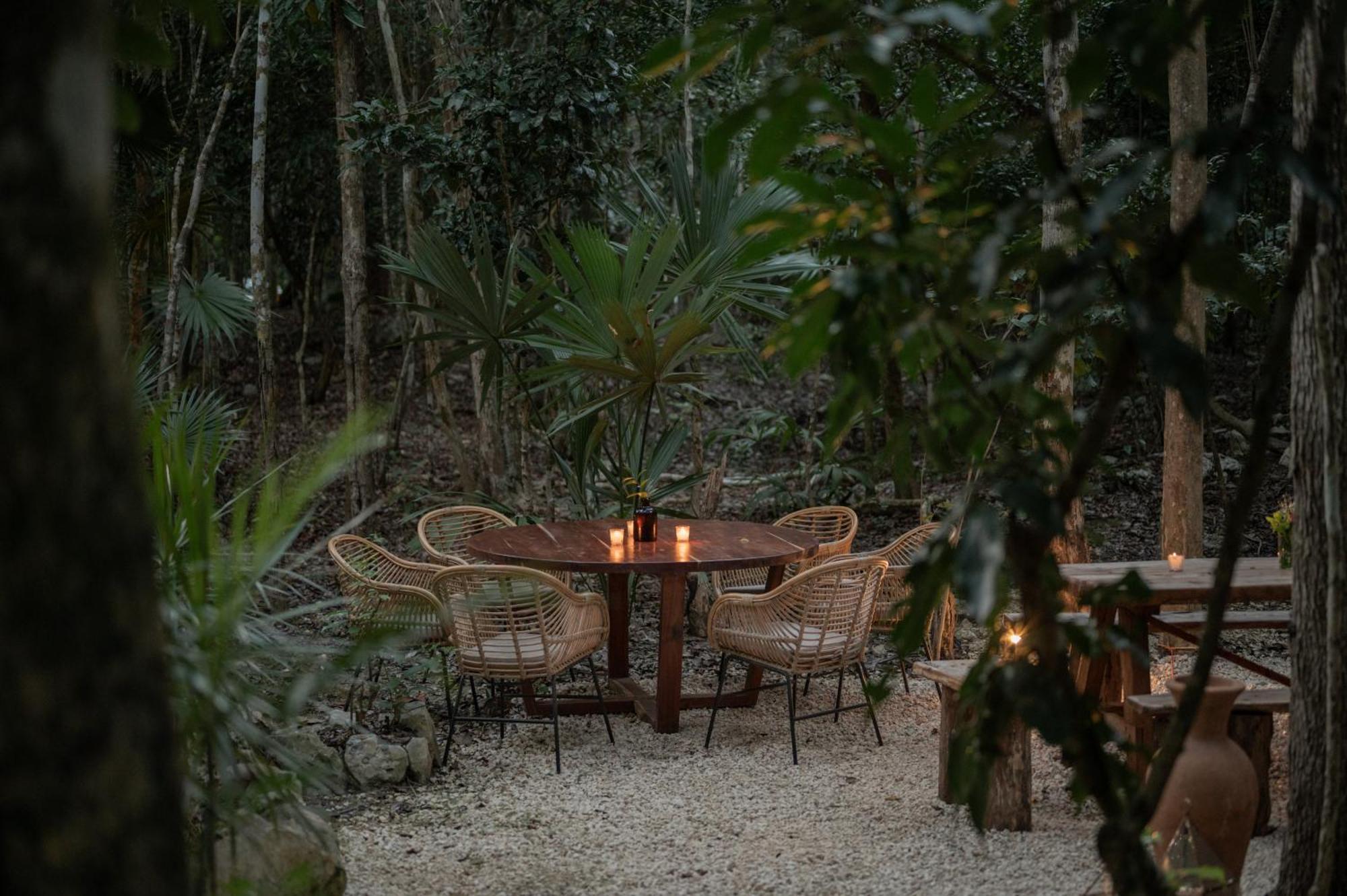 Villa Naum - Secluded With Private Cenote *