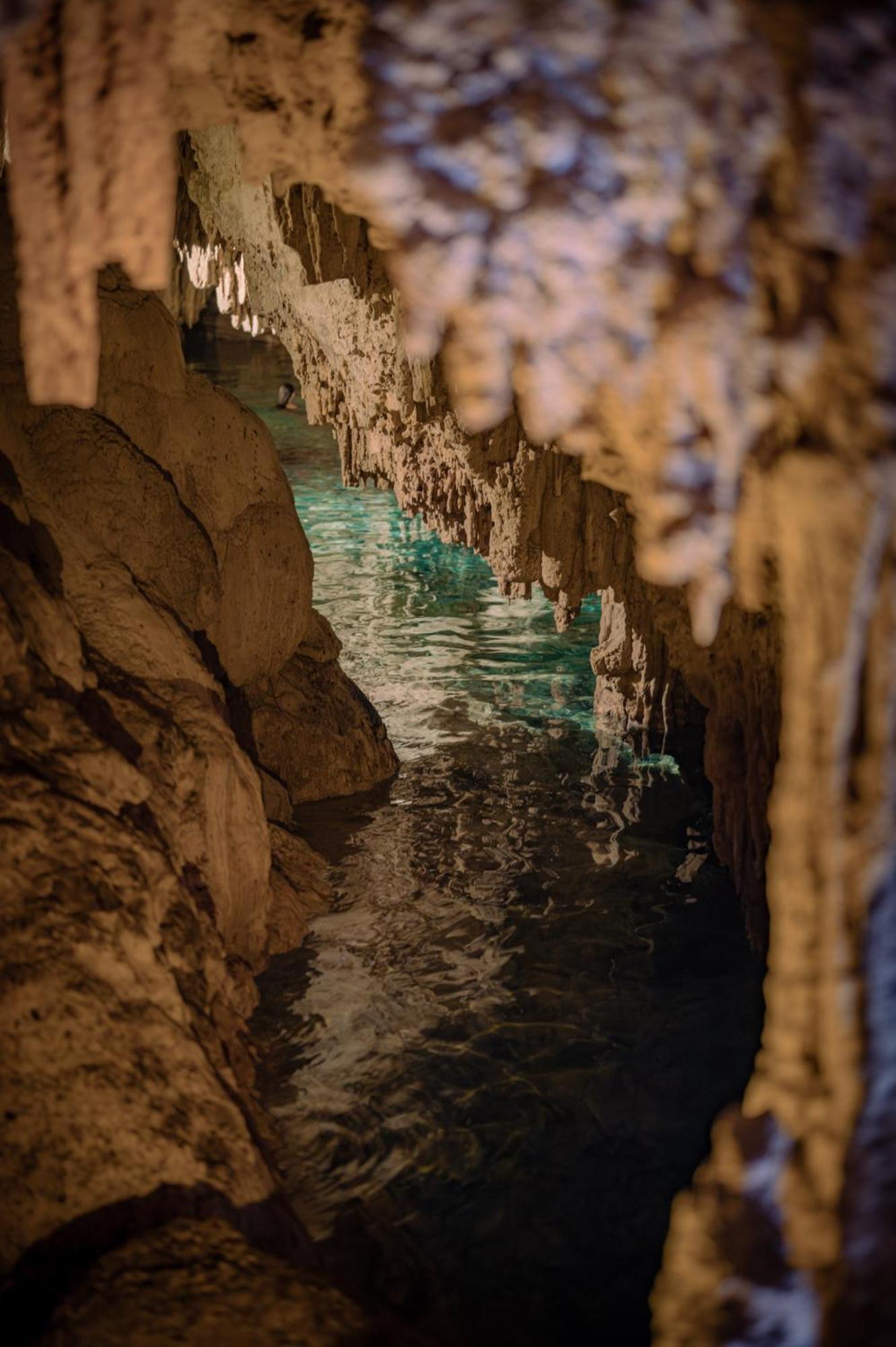 Naum - Secluded With Private Cenote * Tulum