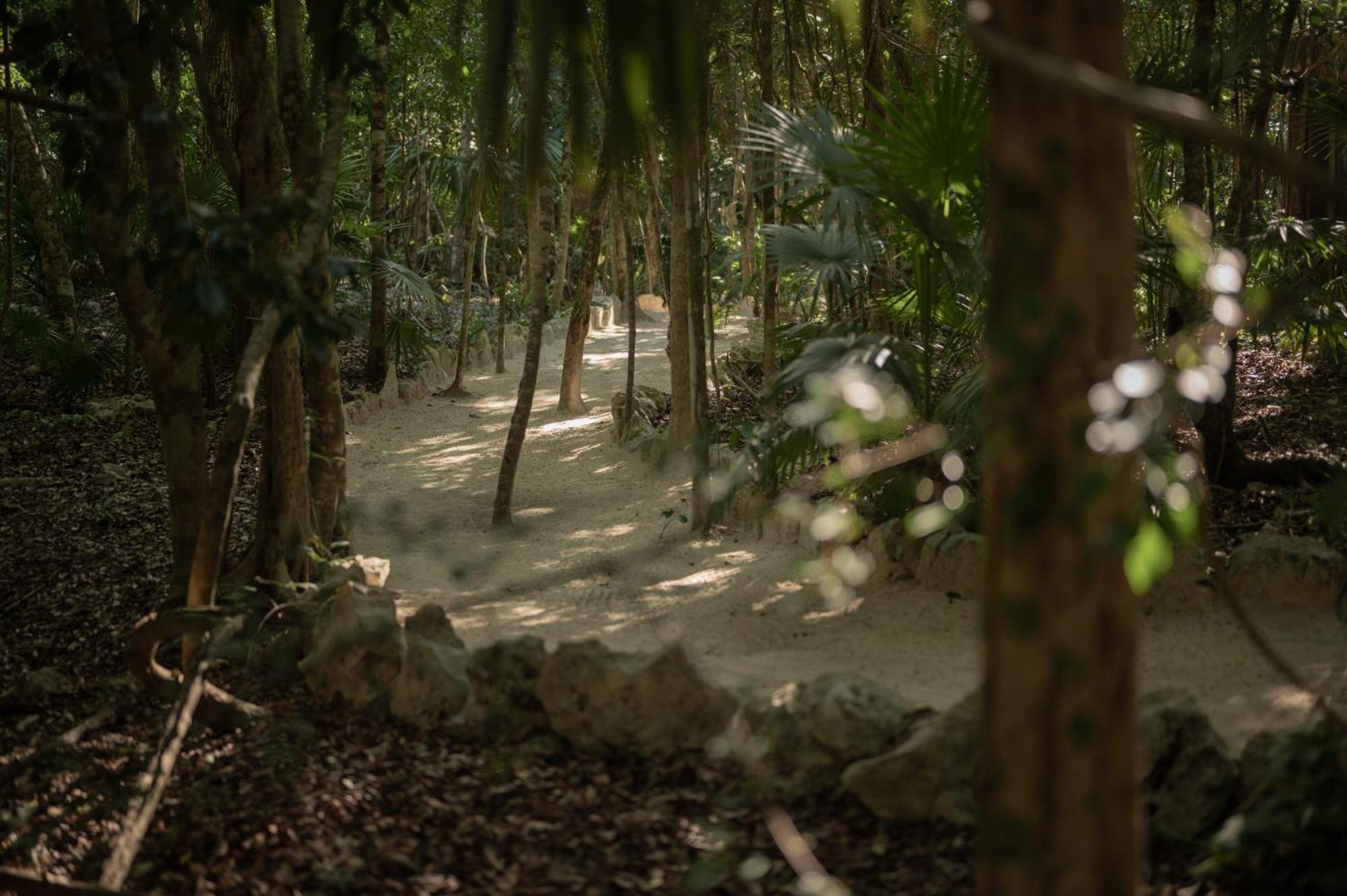 Naum - Secluded With Private Cenote Villa Tulum