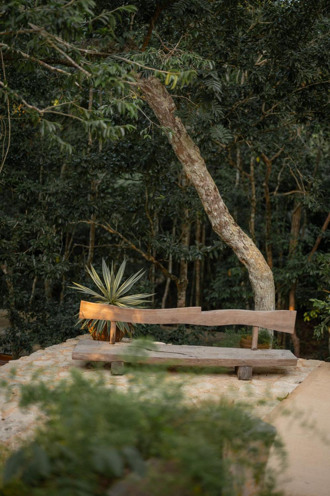 Naum - Secluded With Private Cenote Villa