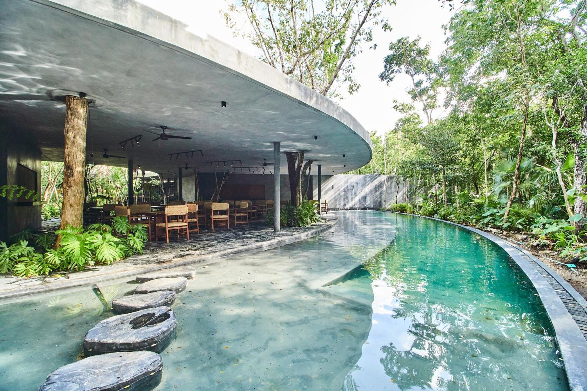 Coyoacan Penthouse 3bdr X Pool X Views Three Level * Tulum
