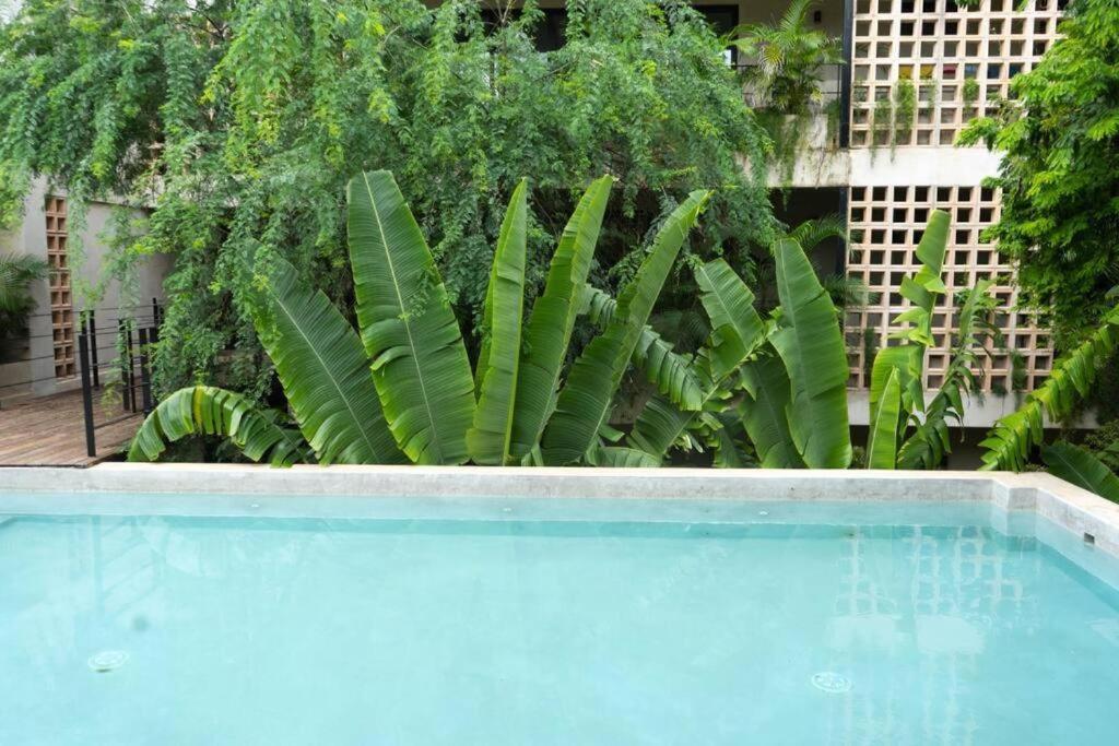 Paraiso Aldea Zama Apartamento Tulum