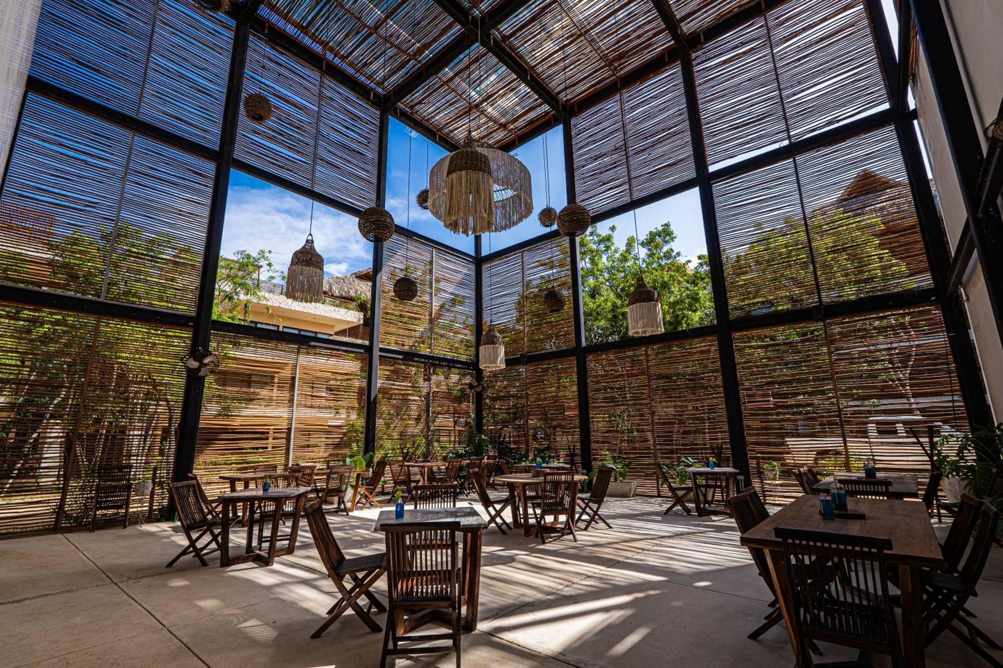 Jungle - Jaguar Villa *