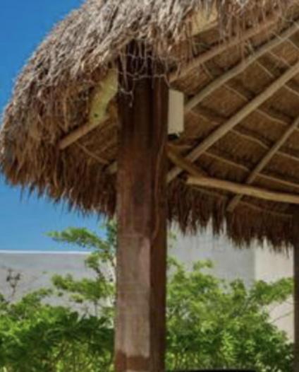 Hotel Niwa 4*