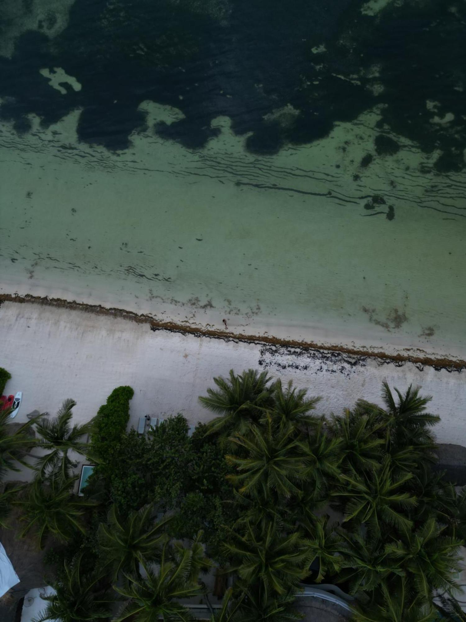 Elements Rituals Beachfront Bahia Soliman * Tulum