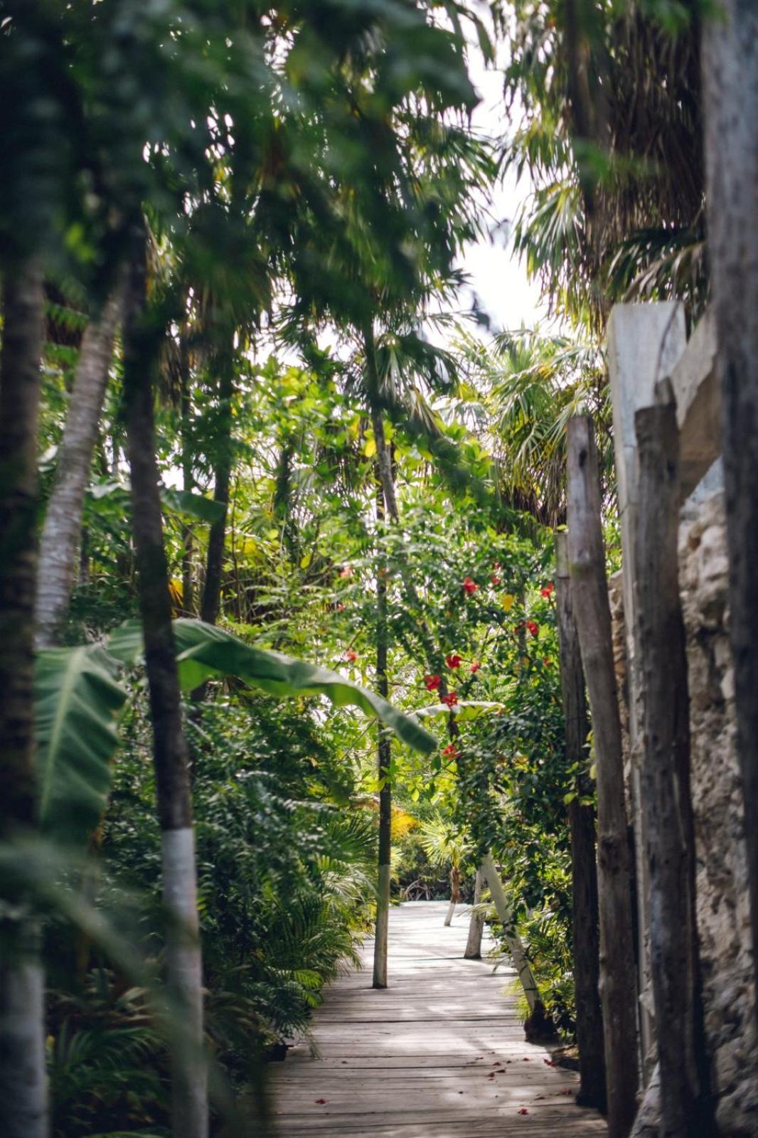 Uman Glamping & Cenote *