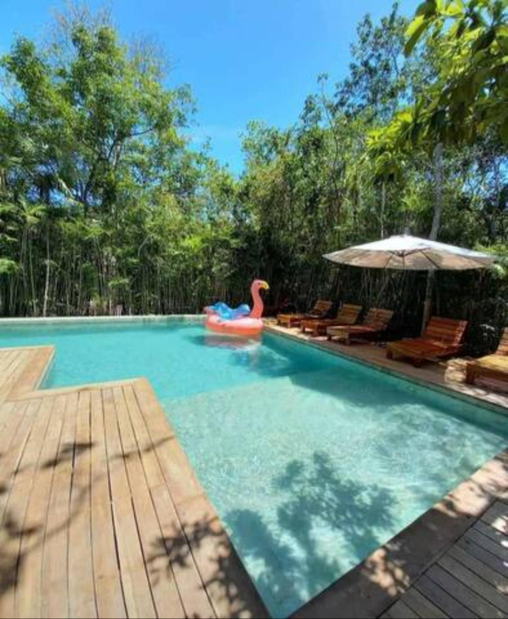 Spectacular Jungle In Th 33 Terrace Gym Private Pool Villa Tulum