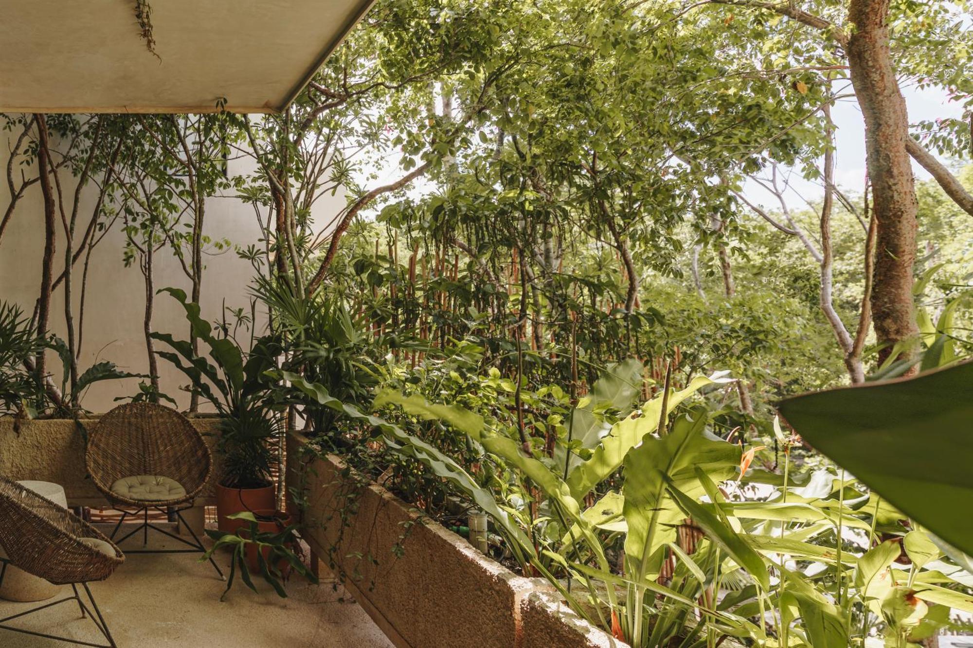 Apartamento Teva Tulum, Aldea Zama *