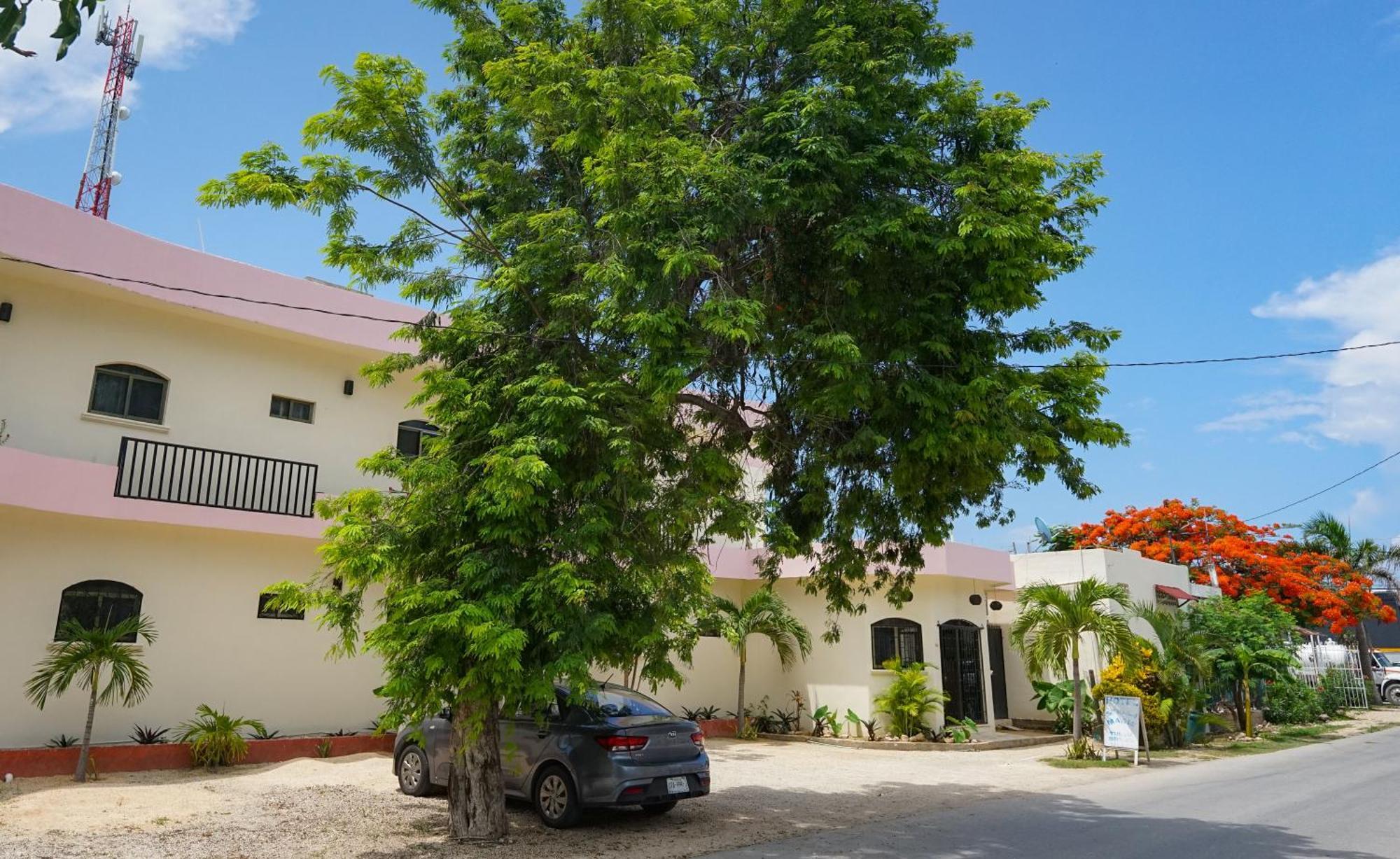 Stella Maris 4*