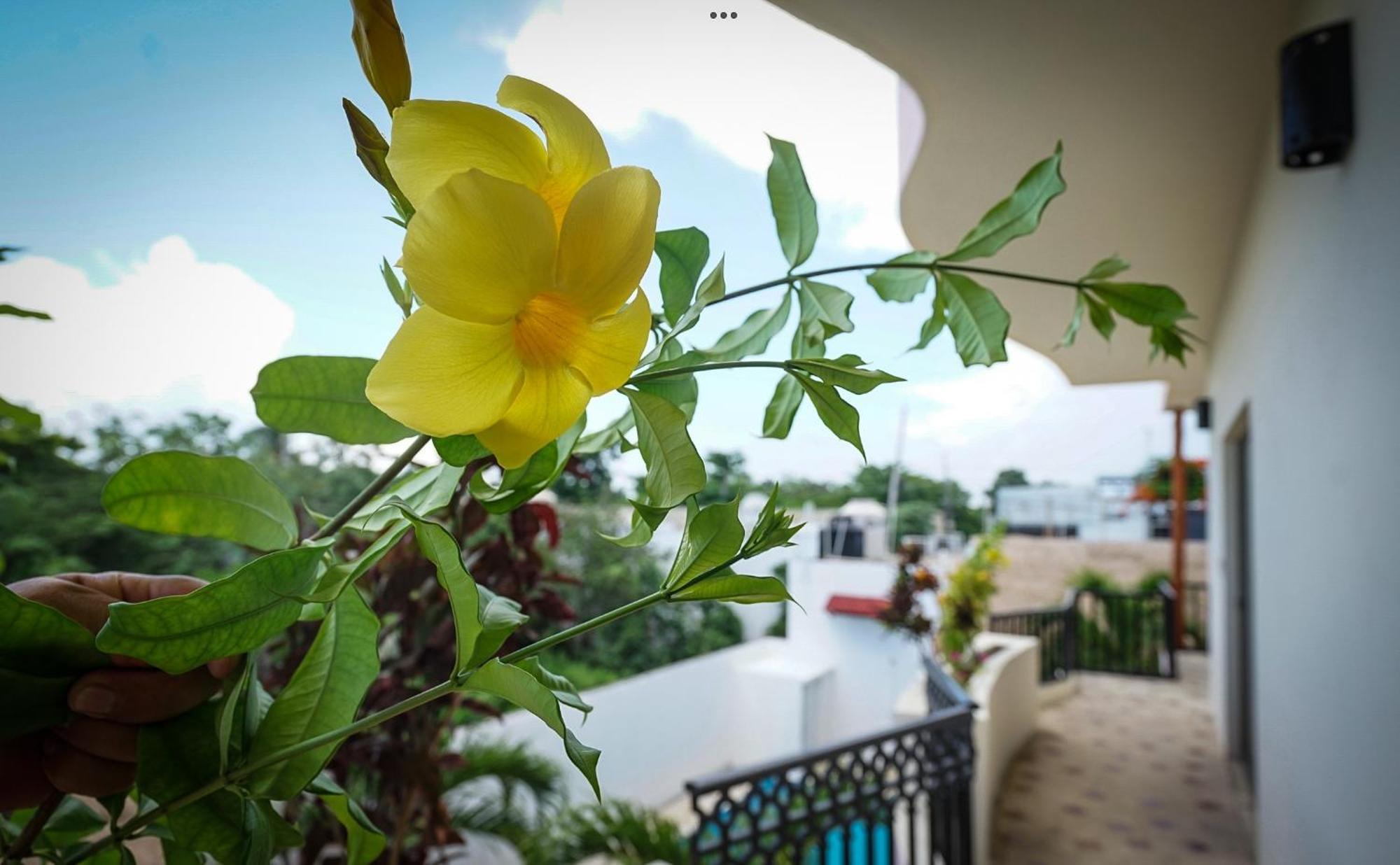 Stella Maris Hotel 4*