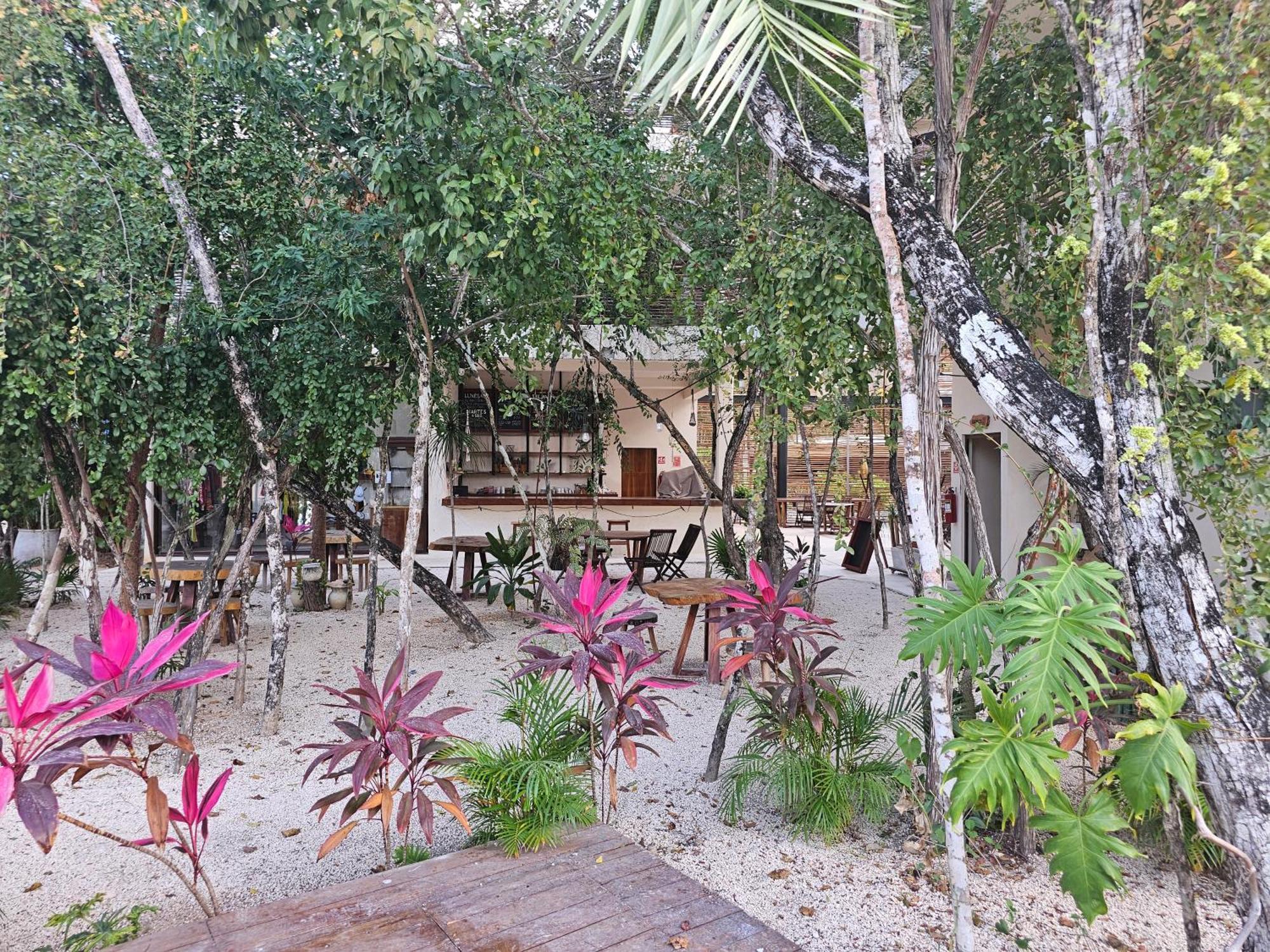 Enjoy Nature * Tulum