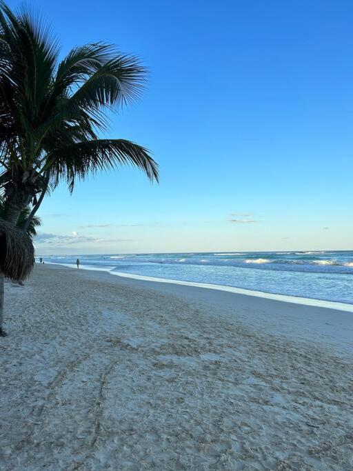 New Luxury Ph With Private Terrace & Plunge Pool * Tulum