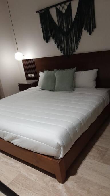 New Luxury Ph With Private Terrace & Plunge Pool Tulum