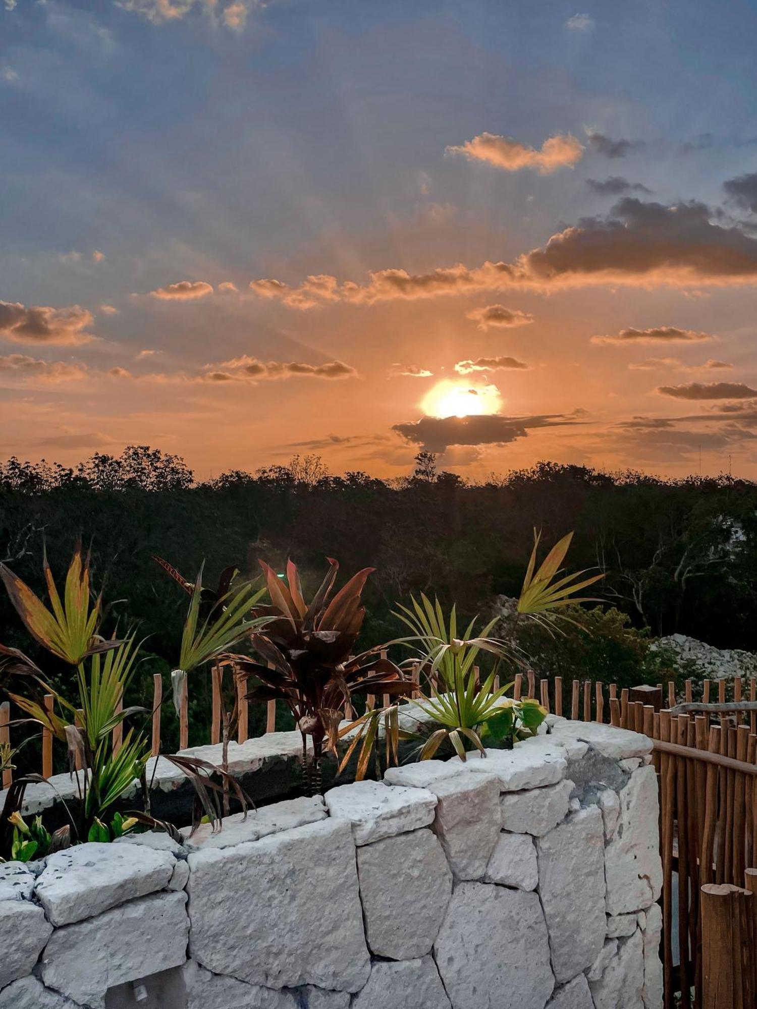 Jungle Boho Designer 11 W50 Off Access Bardo Apartamento Tulum