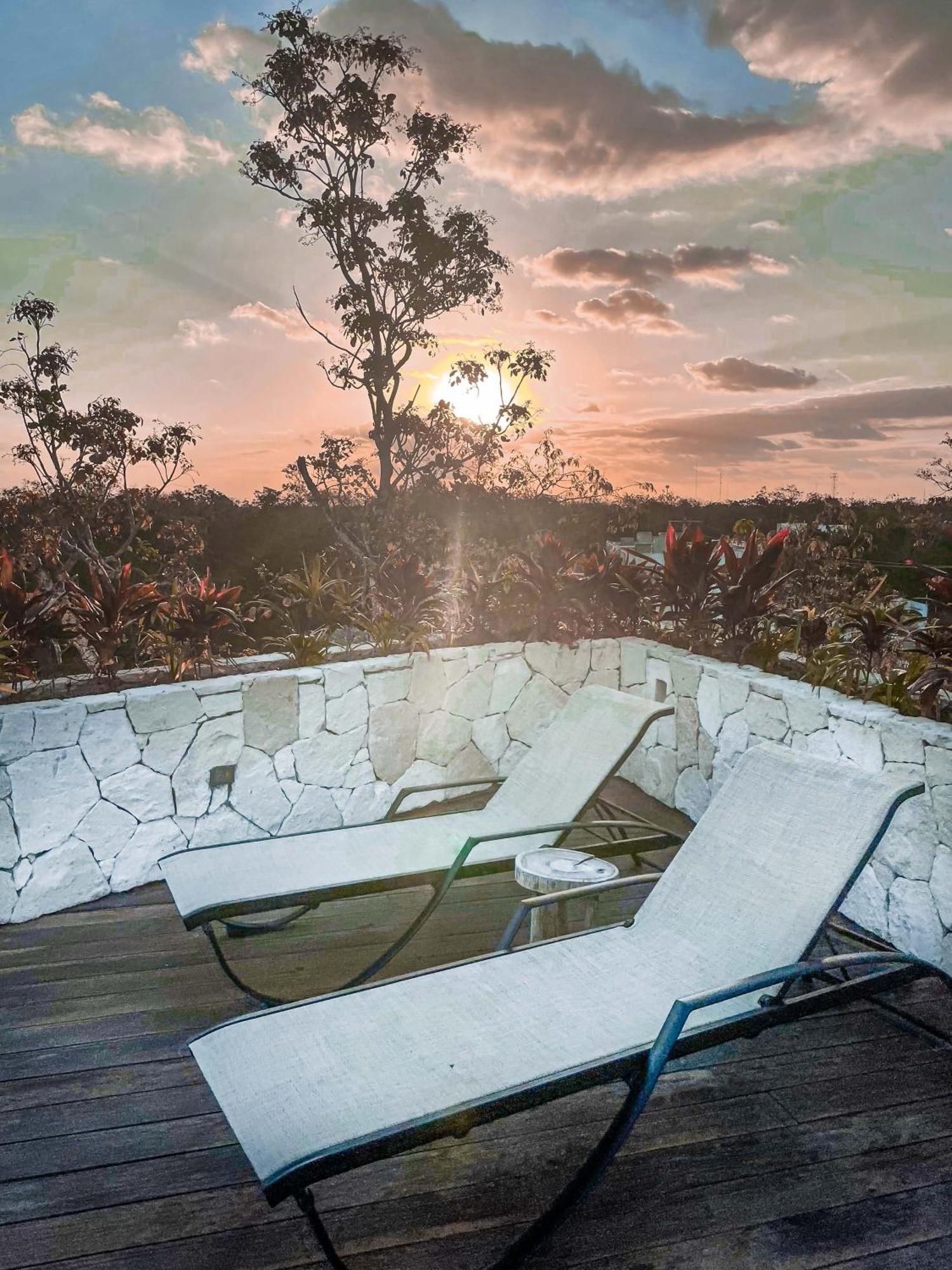 Apartamento Jungle Boho Designer 11 W50 Off Access Bardo
