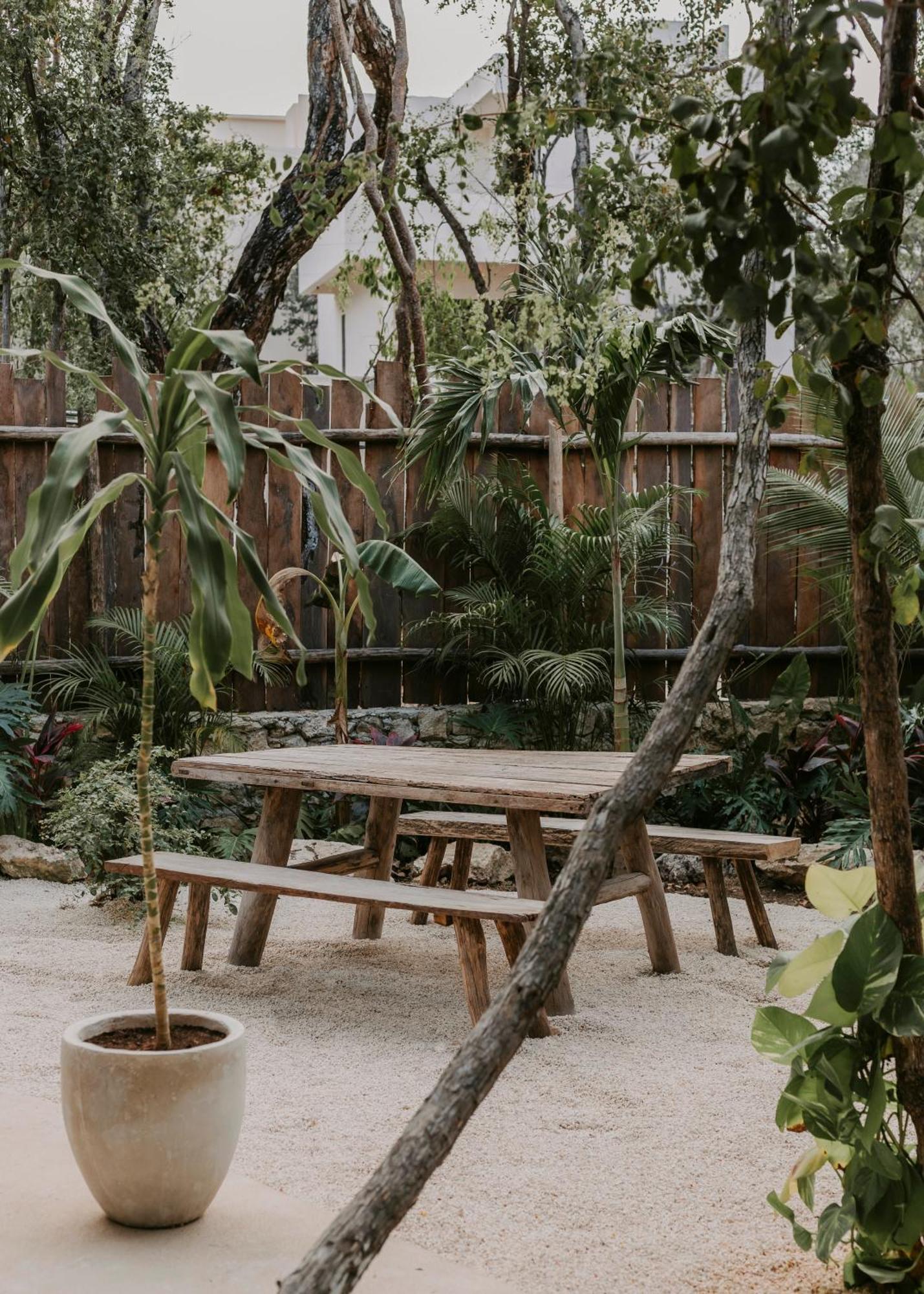 Apartamento Esencia *