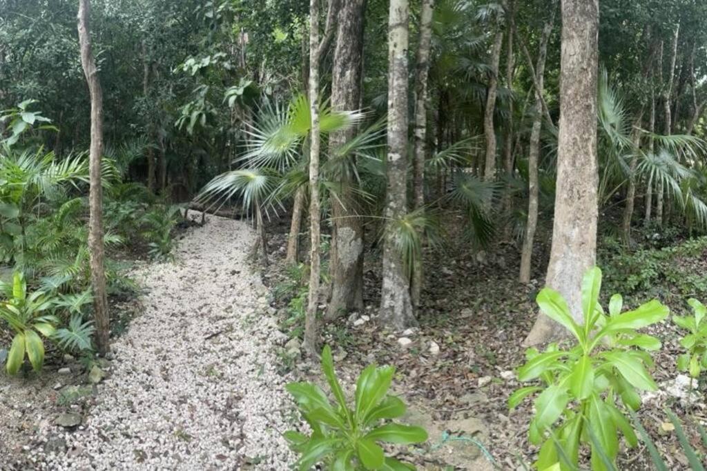 Tribu 202 Apartamento Tulum