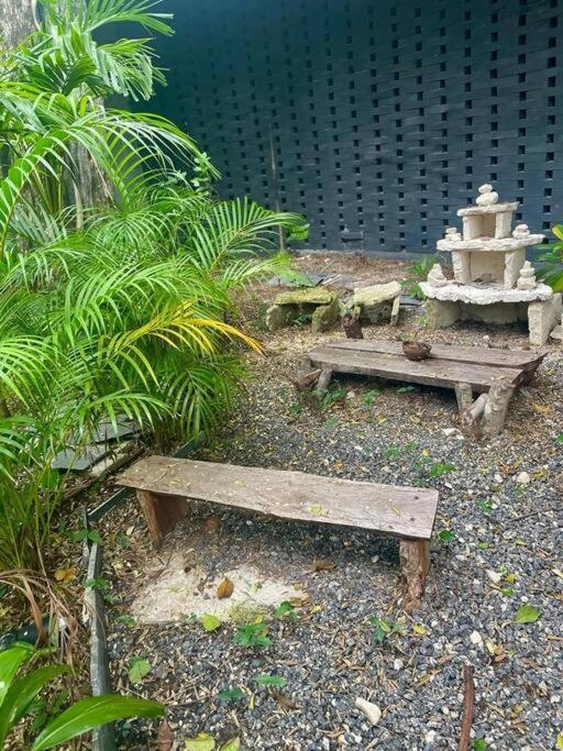 Tribu 202 Apartamento