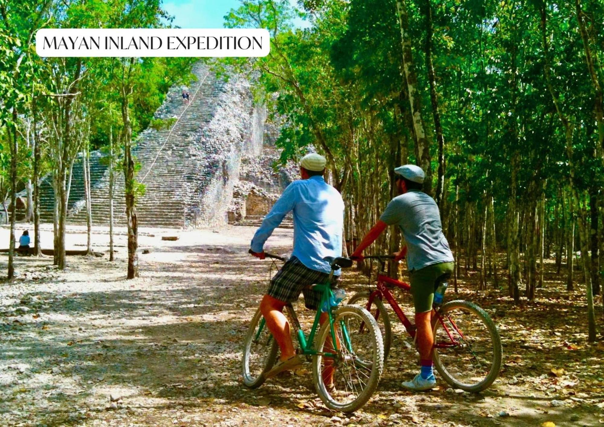Casa Felipa Chic Jungle Retreat With Private Pool *