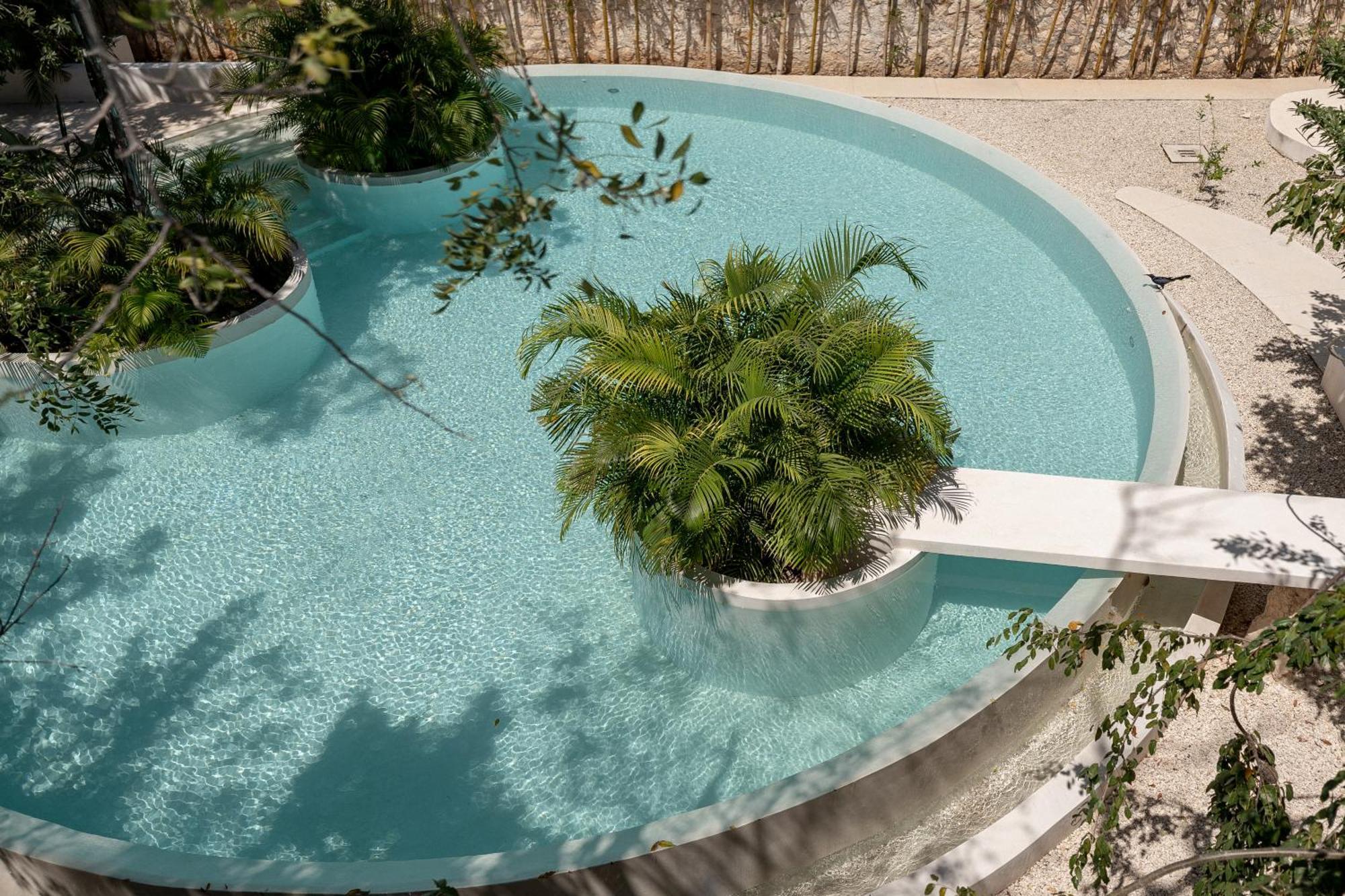 Seremonia By Vida De Playa Apartamento *