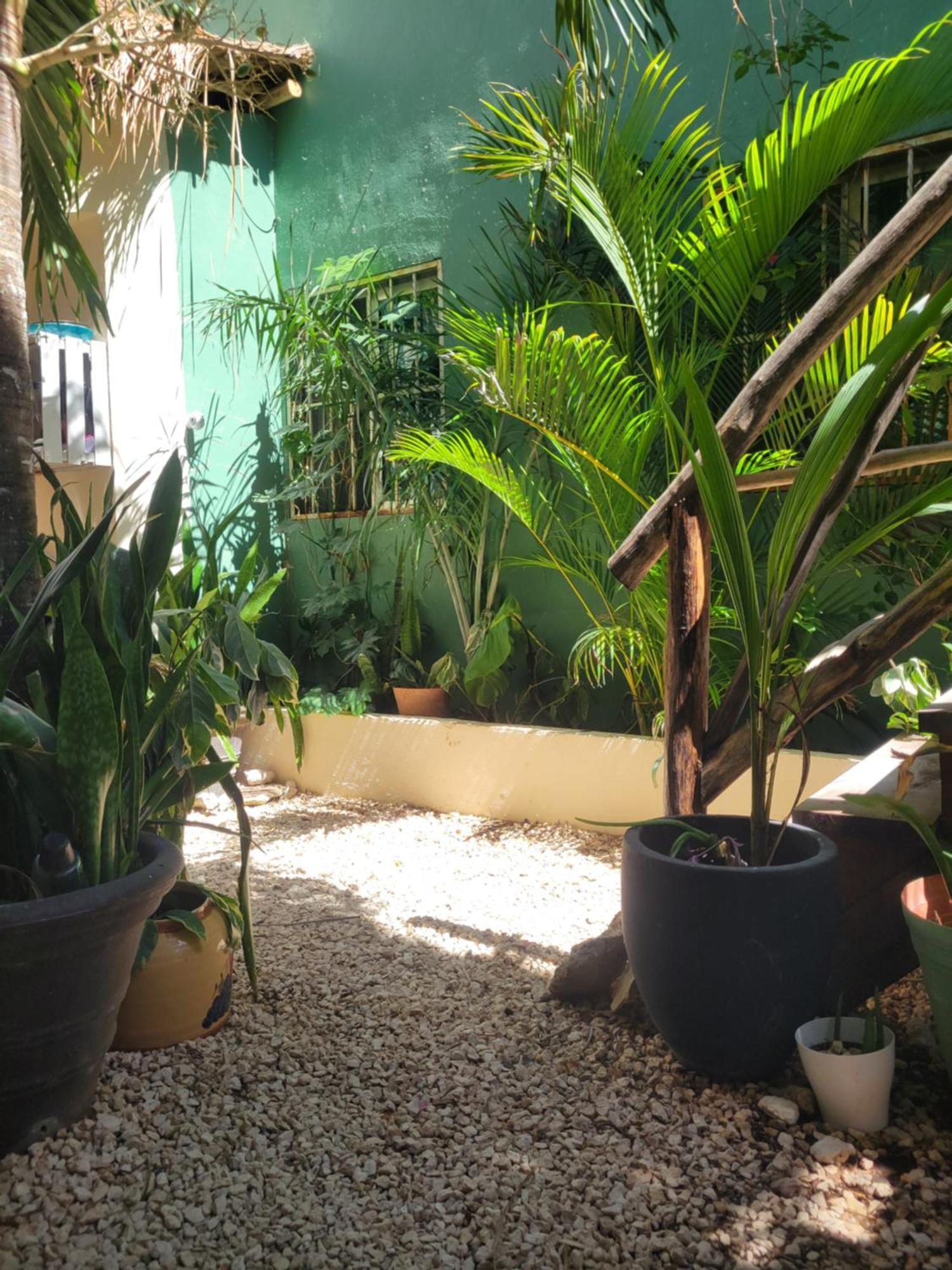 Apartamento The Secret Garden
