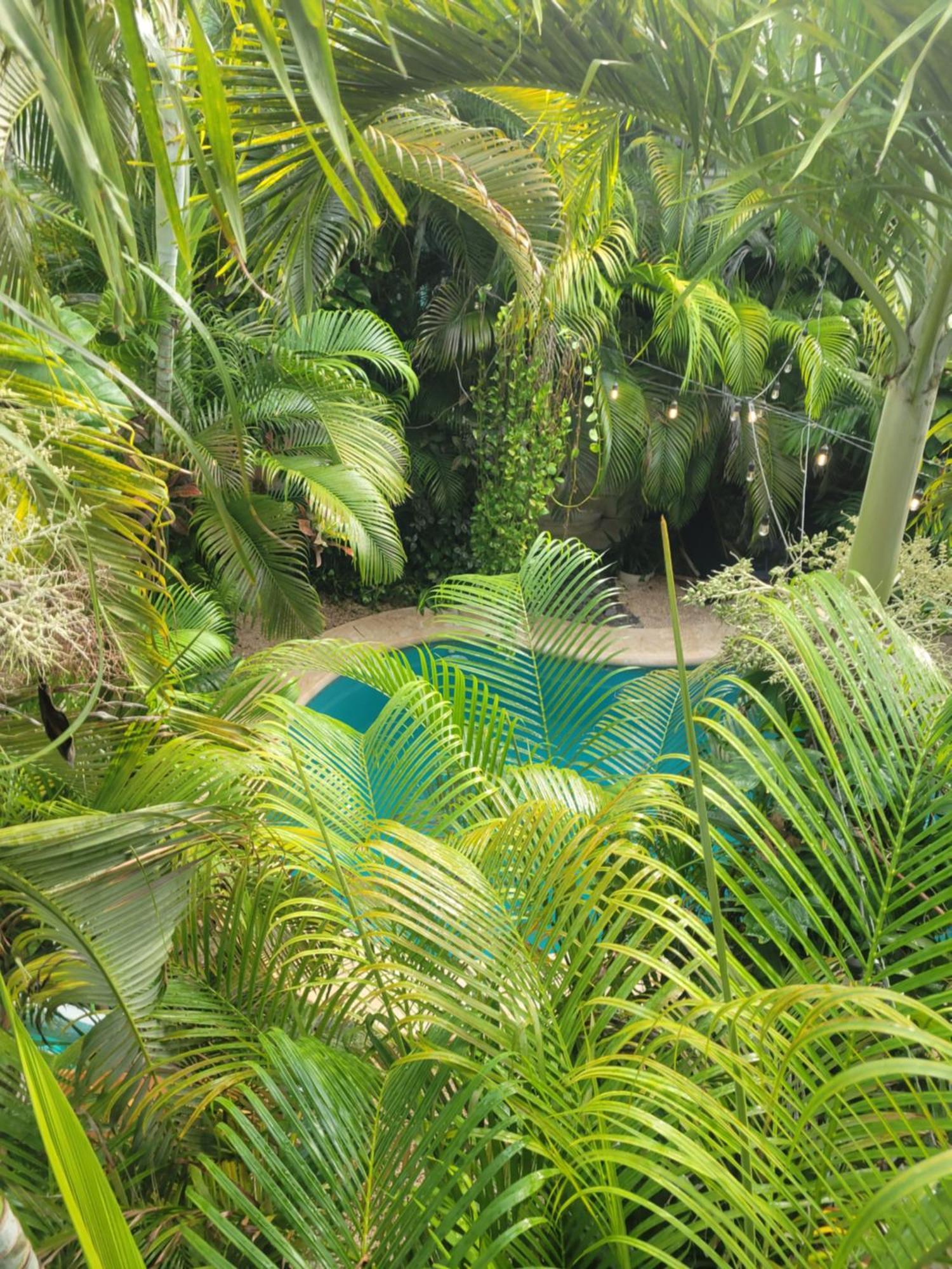 Apartamento The Secret Garden