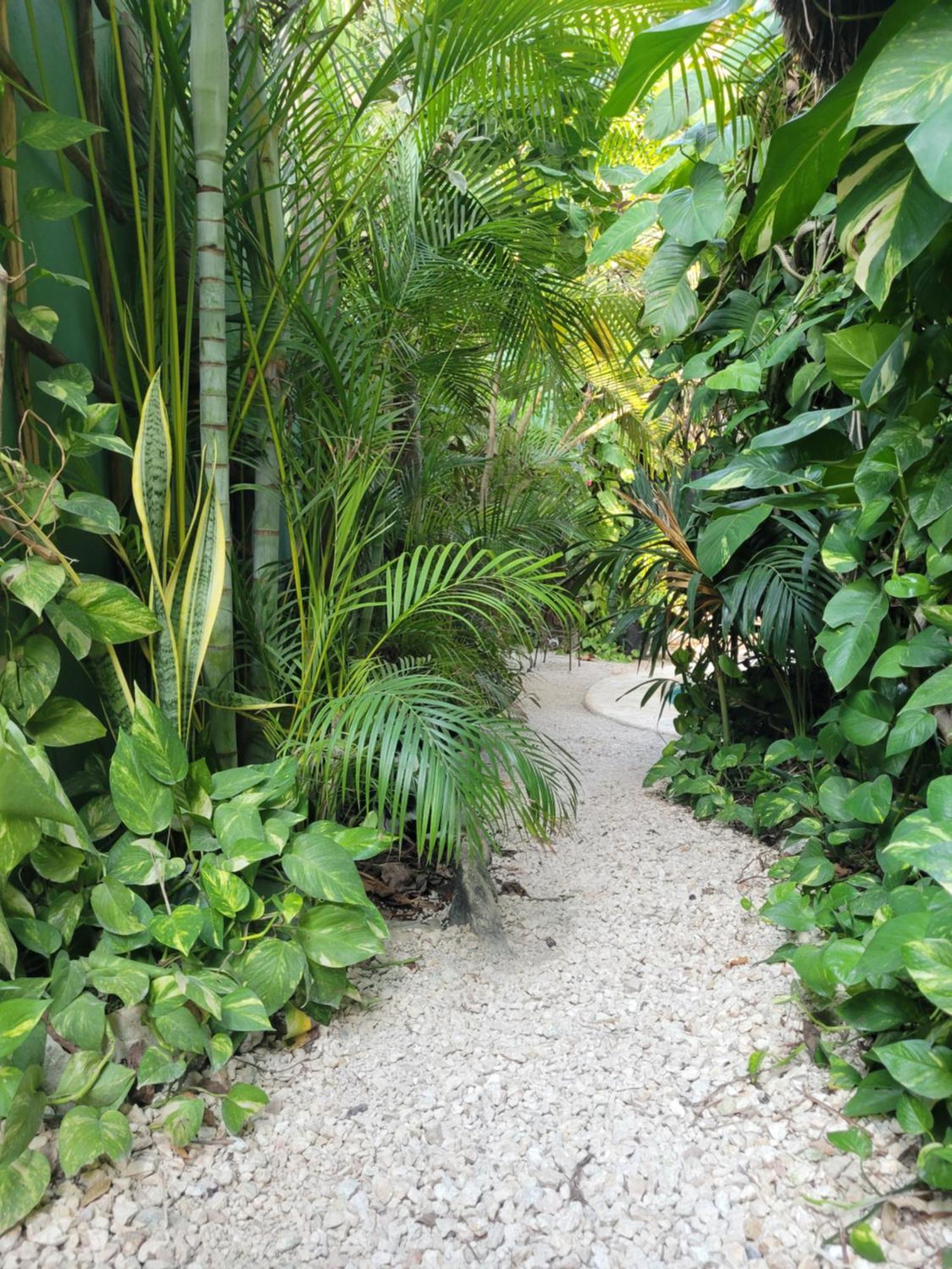 Apartamento The Secret Garden Tulum