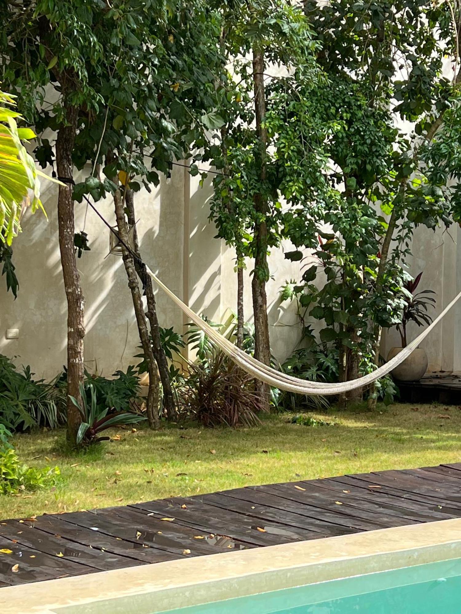 Villa Sotik House *