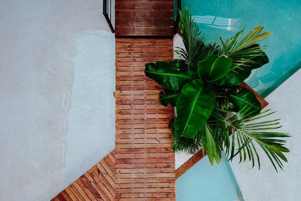 Apartment Maha Luxury Private Pook