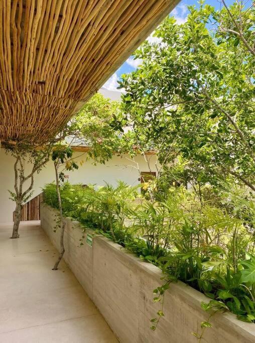 Penthouse Familiar Con Alberca Tulum