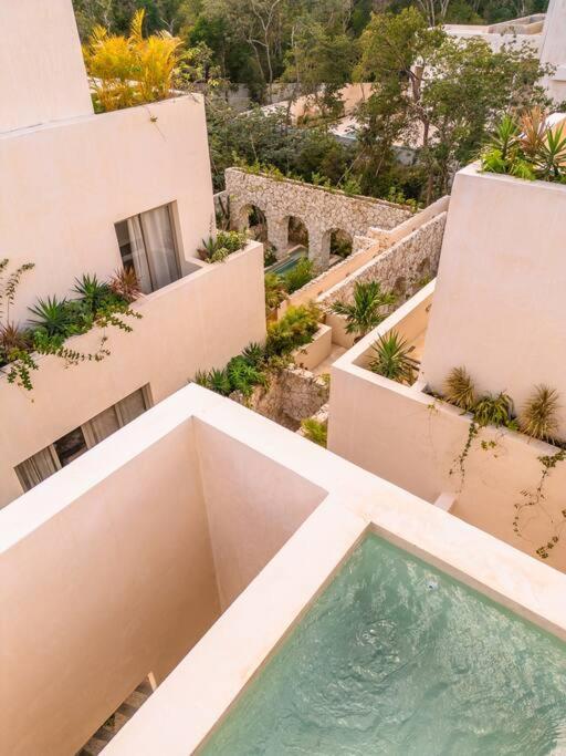 Paradisiac Rooftop With Private Pool Tulum
