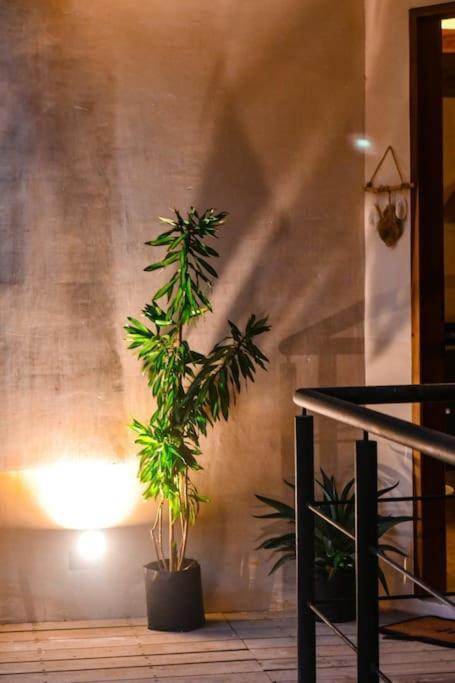 Apartamento Maha