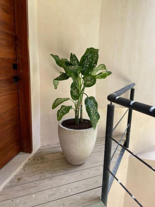 Apartamento Maha