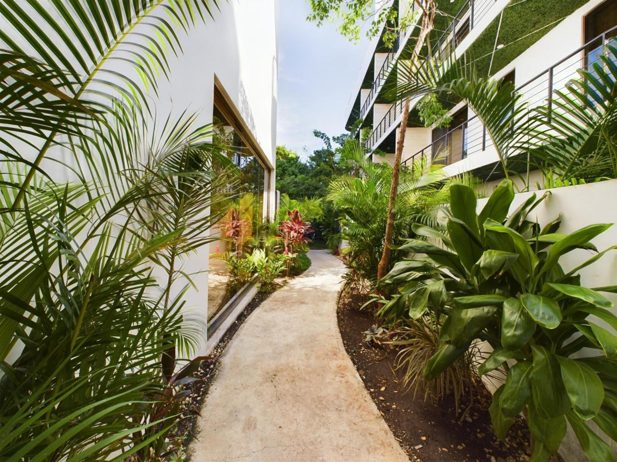 Apartamento Dreamed Brava With Rooftop & Bridge Pool *