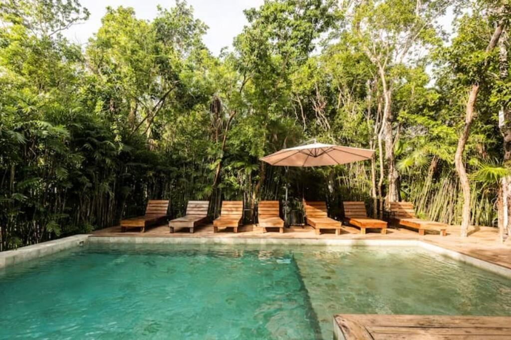 Gran Villa En Tulum Con Amenidades Y Concierge Villa *