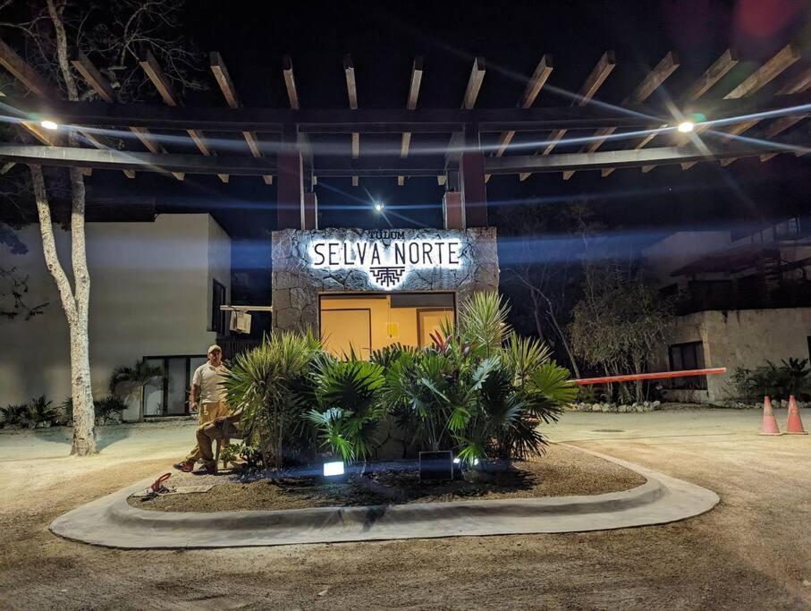 Apartamento Entre Cenotes Y Selva