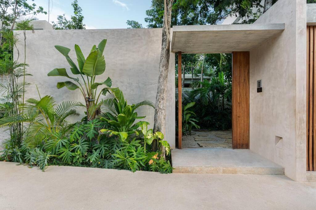 Villa Tranquil With Private Pool And Garden Tulum