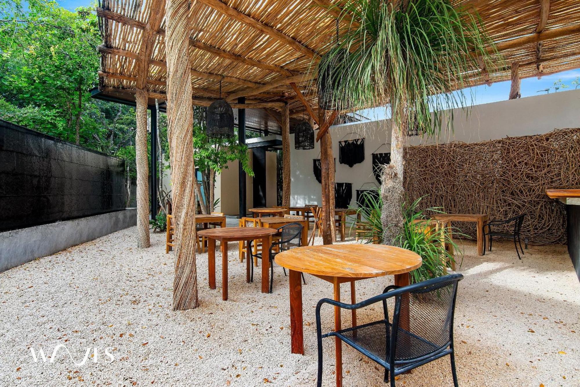 Estudio | Excelente Iluminacion |cerca De La Playa * Tulum