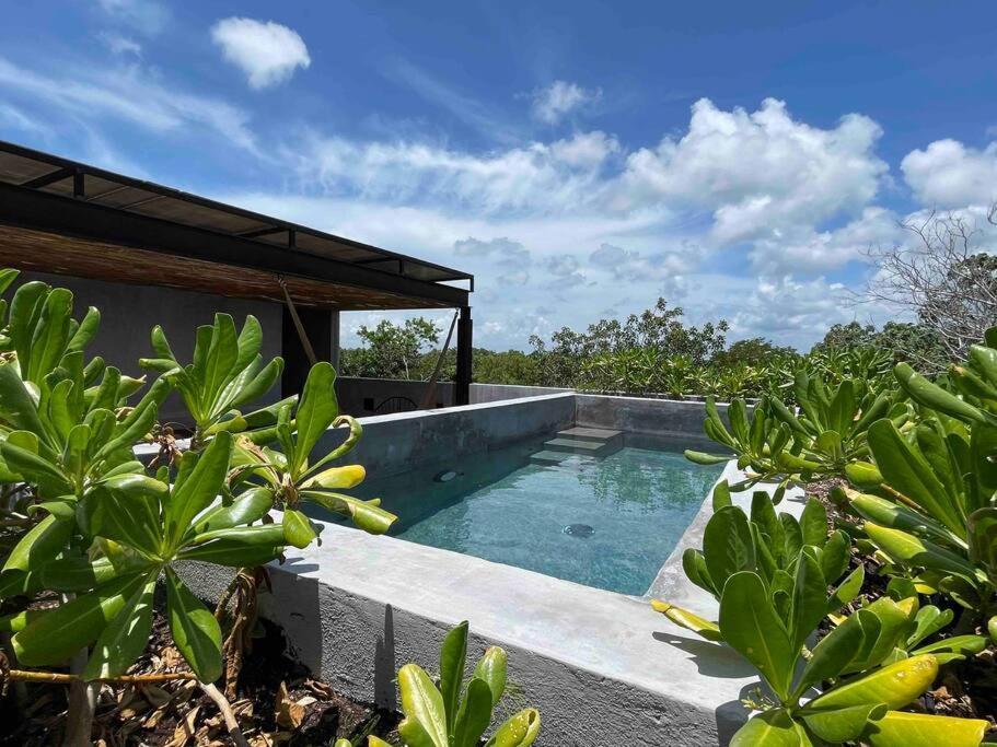 New 2 Bdr, Private Rooftop Pool, Gym And Cowork *