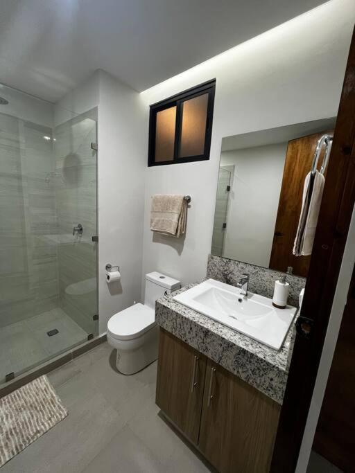 Solum Luxury Apartamento